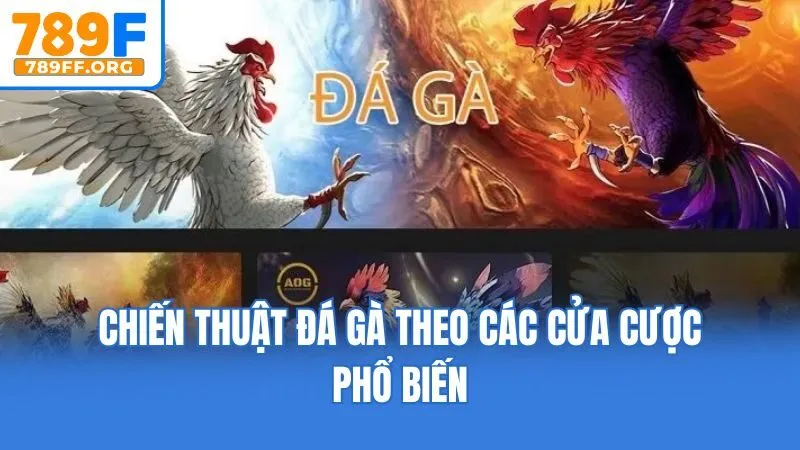 Chiến thuật đá gà theo các cửa cược phổ biến