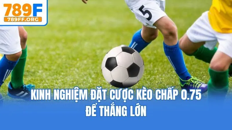 Kinh nghiệm đặt cược kèo chấp 0.75 để thắng lớn