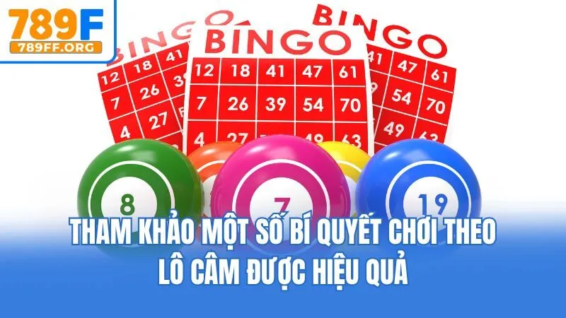 Tham khảo một số bí quyết chơi theo lô câm được hiệu quả